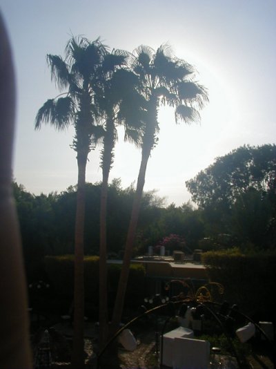 Blick von der Restaurantterrasse