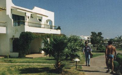 lotus bay